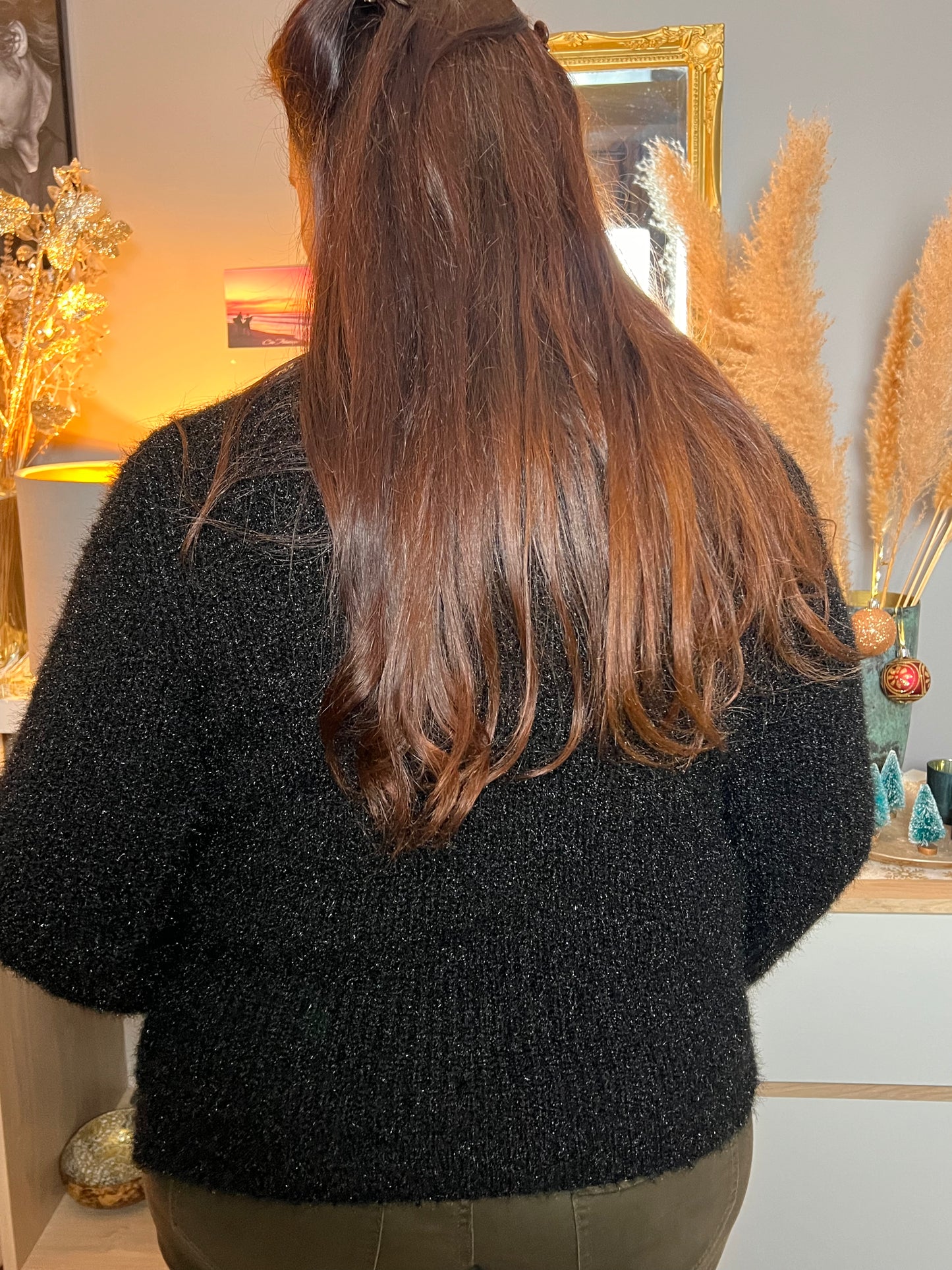 Pull grande taille Marie